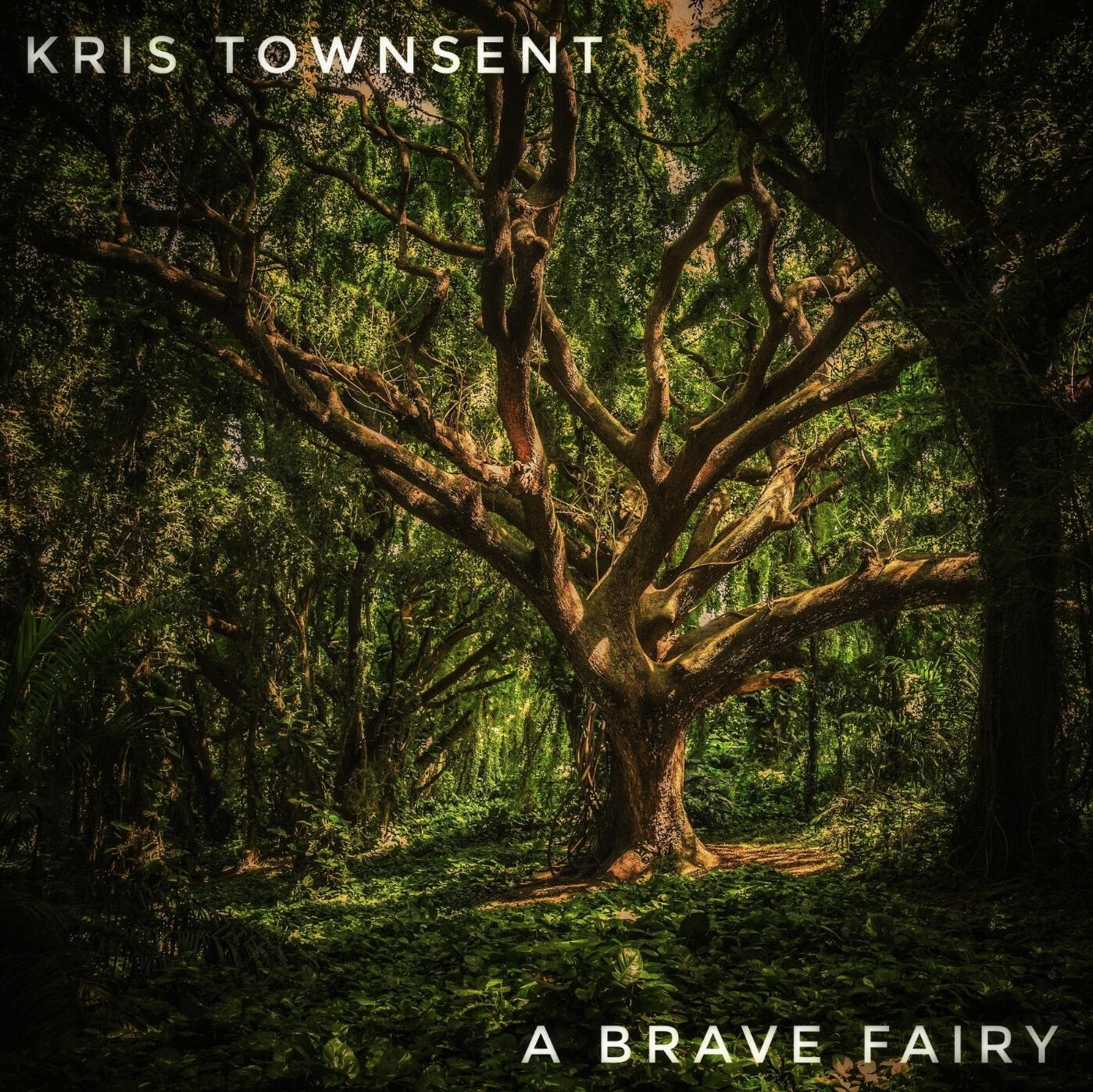 Kris Townsent – A Brave Fairy (Story Cover)