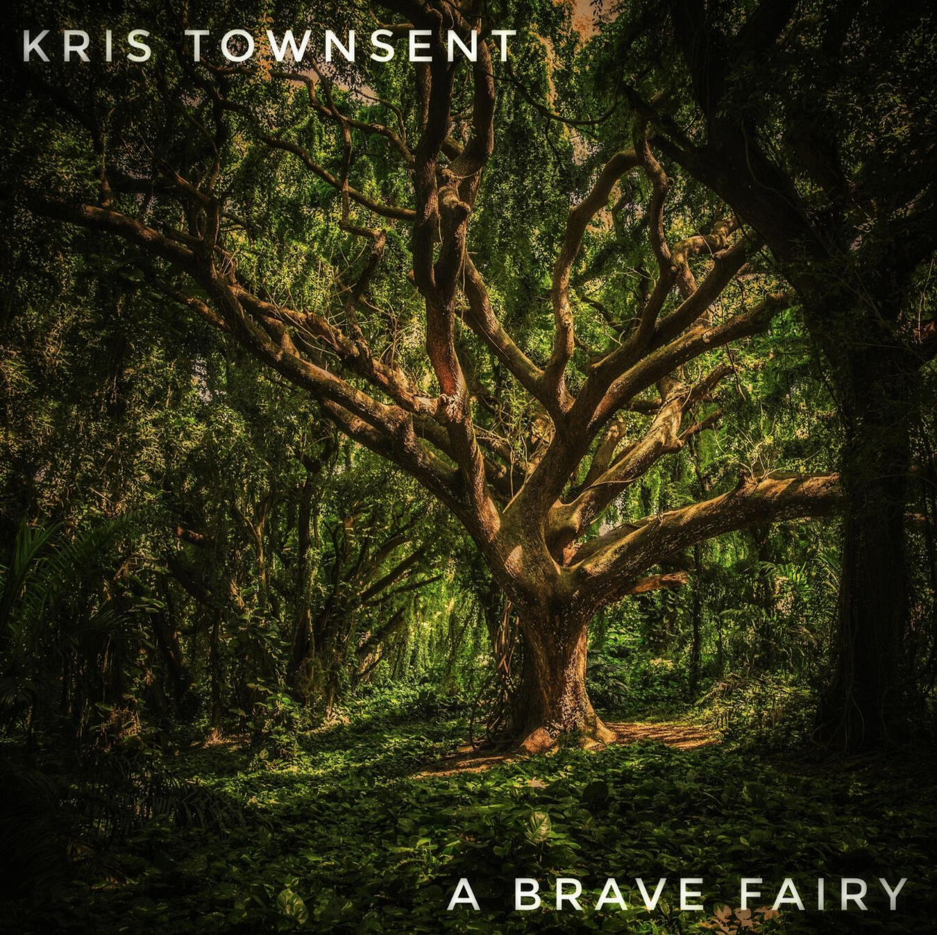 A Brave Fairy (Single, 2022)